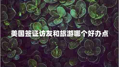 美國簽證訪友和旅游哪個好辦點
