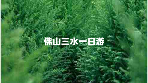 佛山三水一日游