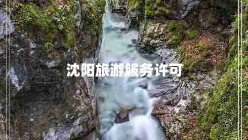 沈陽(yáng)旅游服務(wù)許可