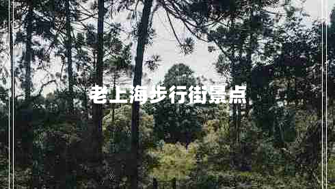 老上海步行街景點(diǎn)