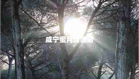 咸寧蜜月灣酒店