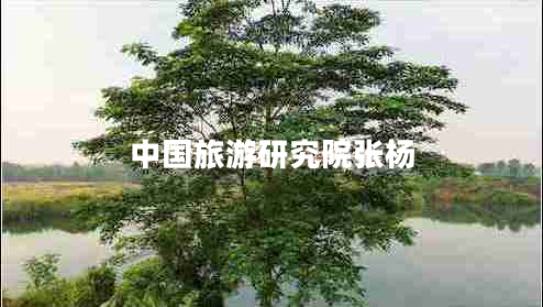 中國旅游研究院張楊 中國旅游研究院張楊