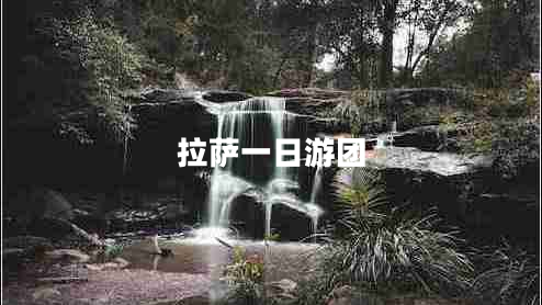 拉薩一日游團(tuán)