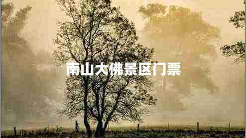 南山大佛景區(qū)門票 南山大佛景區(qū)門票