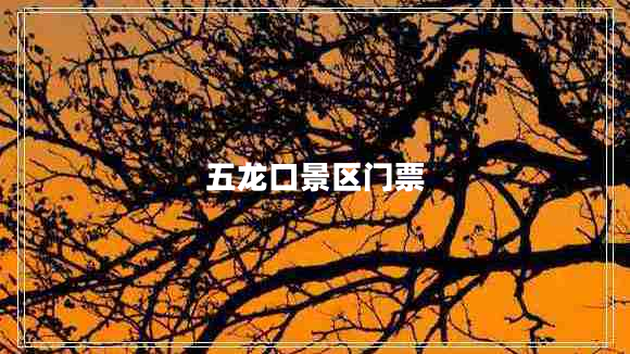 五龍口景區(qū)門票
