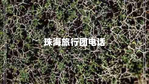 珠海旅行團(tuán)電話