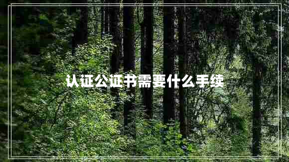 認證公證書需要什么手續(xù)
