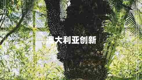 澳大利亞創(chuàng)新