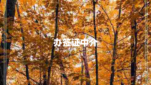 辦簽證中介 辦簽證中介