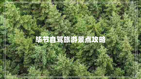 畢節(jié)自駕旅游景點攻略