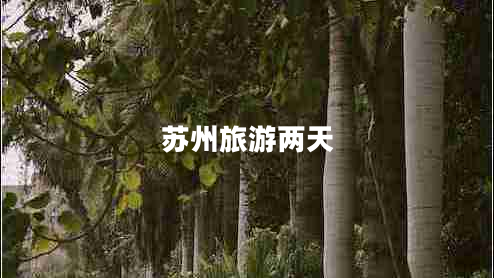蘇州旅游兩天