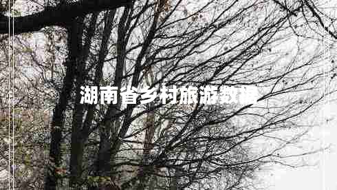 湖南省鄉(xiāng)村旅游數(shù)據(jù) 湖南省鄉(xiāng)村旅游數(shù)據(jù)