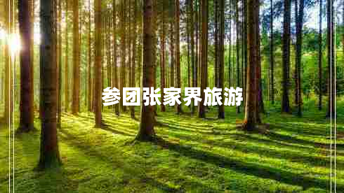 參團(tuán)張家界旅游