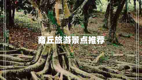 商丘旅游景點(diǎn)推薦