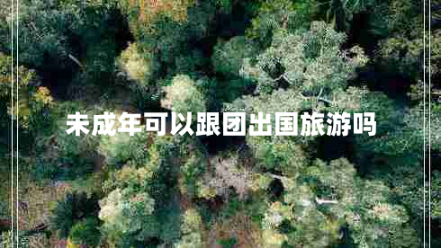 未成年可以跟團(tuán)出國旅游嗎