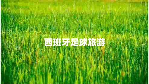西班牙足球旅游 西班牙足球旅游