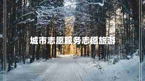 城市志愿服務(wù)志愿旅游 城市志愿服務(wù)志愿旅游