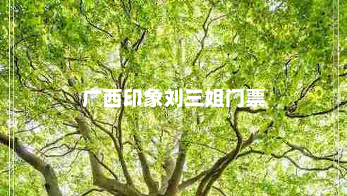 廣西印象劉三姐門(mén)票