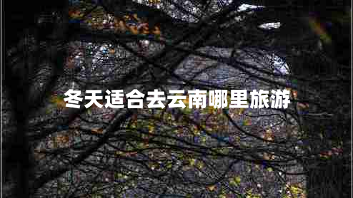 冬天適合去云南哪里旅游 冬天適合去云南哪里旅游
