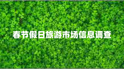 春節(jié)假日旅游市場信息調(diào)查