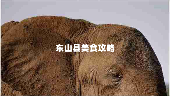 東山縣美食攻略 東山縣美食攻略