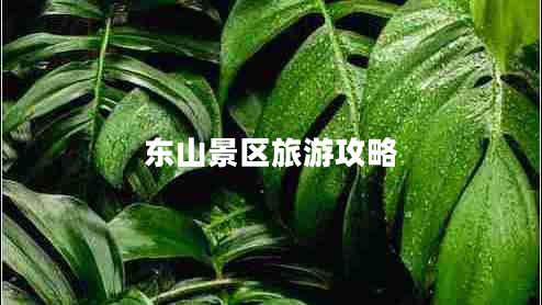 東山景區(qū)旅游攻略 東山景區(qū)旅游攻略
