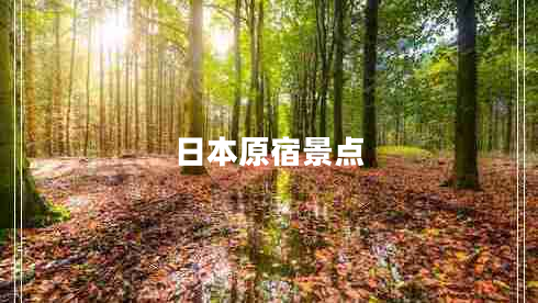 日本原宿景點 日本原宿景點