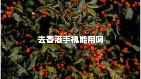 去香港手機(jī)能用嗎 去香港手機(jī)能用嗎