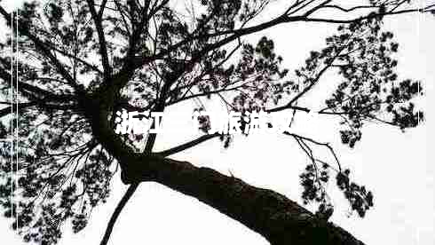 浙江三門旅游攻略