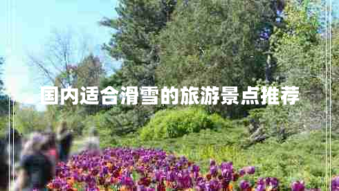 國內(nèi)適合滑雪的旅游景點推薦