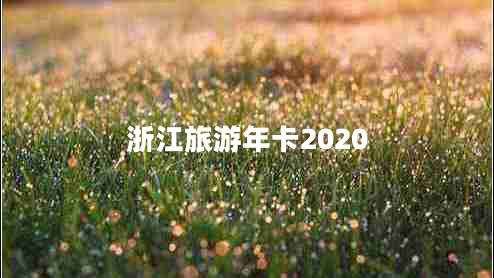 浙江旅游年卡2020 浙江旅游年卡2020