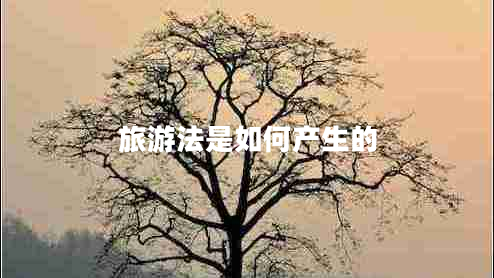 旅游法是如何產(chǎn)生的