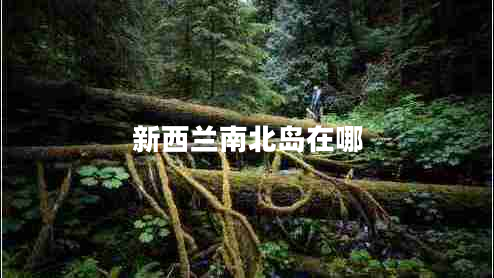 新西蘭南北島在哪