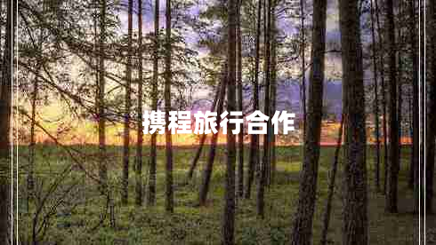 攜程旅行合作