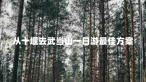 從十堰去武當山一日游最佳方案