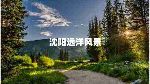 沈陽遠(yuǎn)洋風(fēng)景