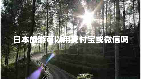 日本旅游可以用支付寶或微信嗎 日本旅游可以用支付寶或微信嗎