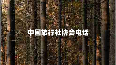 中國旅行社協(xié)會(huì)電話 中國旅行社協(xié)會(huì)電話