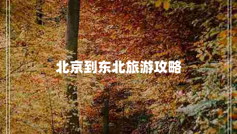 北京到東北旅游攻略 北京到東北旅游攻略