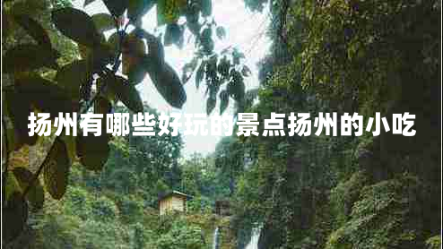 揚(yáng)州有哪些好玩的景點(diǎn)揚(yáng)州的小吃