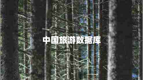 中國(guó)旅游數(shù)據(jù)庫(kù)