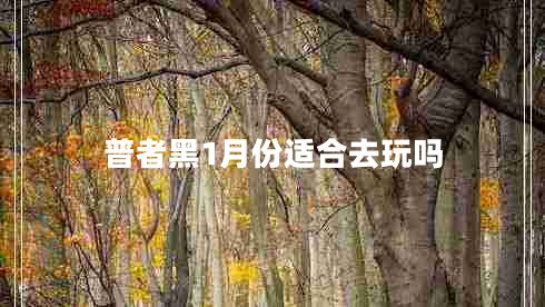 普者黑1月份適合去玩嗎 普者黑1月份適合去玩嗎