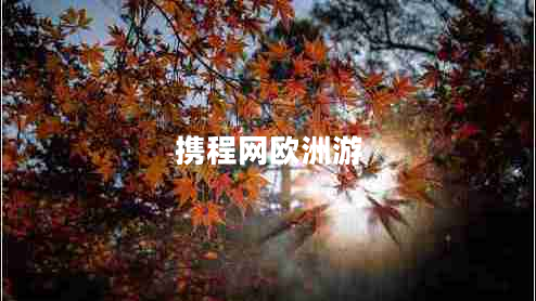 攜程網(wǎng)歐洲游 攜程網(wǎng)歐洲游