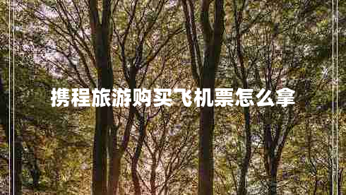 攜程旅游購(gòu)買飛機(jī)票怎么拿