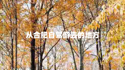 從合肥自駕游去的地方