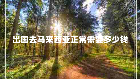 出國去馬來西亞正常需要多少錢