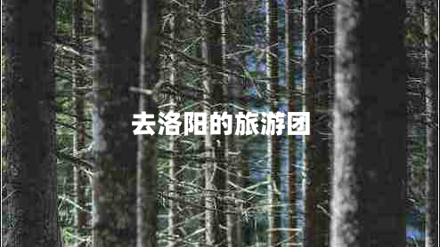 去洛陽(yáng)的旅游團(tuán)