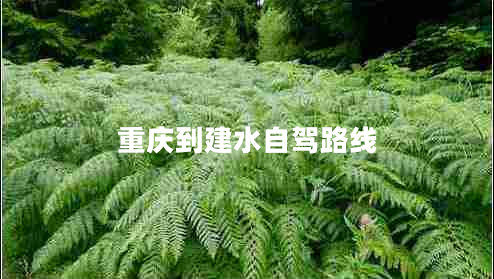 重慶到建水自駕路線 重慶到建水自駕路線