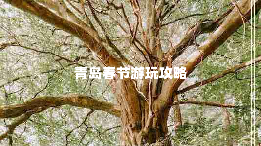 青島春節(jié)游玩攻略