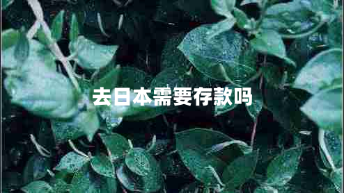 去日本需要存款嗎